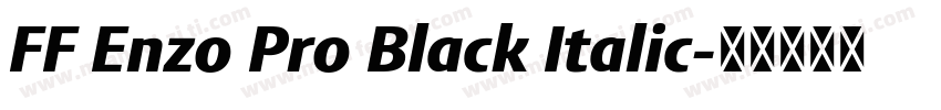 FF Enzo Pro Black Italic字体转换